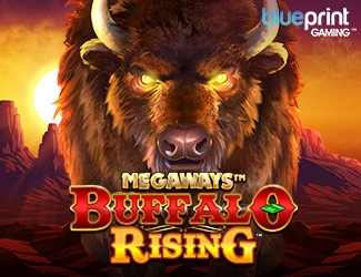 buffalo-rising